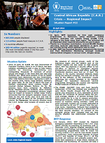 Situation Report - Central African Republic
