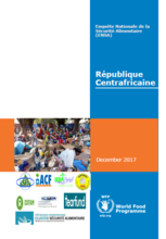 République Centrafricaine - Enquête Nationale de la Sécurité Alimentaire (ENSA), Décembre 2017