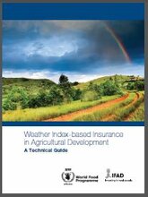 Weather Index-Based Insurance in Agricultural Development