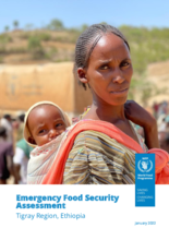 Tigray: Emergency Food Security Assessment