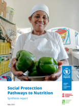 Social Protection Pathways to Nutrition