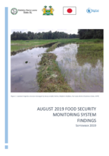 Food Security Monitoring System Findings