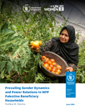 Gender Relations and Power Dynamics in WFP Palestine Beneficiary Households Study – WFP and UN Women 2022