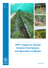 WFP support to Climate Resilient Food Systems and Agriculture in Bhutan - 2020