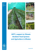 WFP support to Climate Resilient Food Systems and Agriculture in Bhutan - 2020