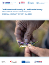 Caribbean Food Security & Livelihoods Survey – May 2023 