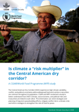 Is climate a risk multiplier in the Central American dry corridor? 