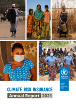 2021 Climate Risk Insurance Annual Report 