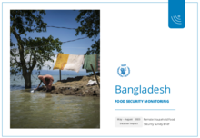 WFP Bangladesh - Mobile Vulnerability Analysis and Mapping (mVAM) reports  