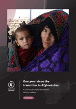 Afghanistan mVAM Household Food Security Survey