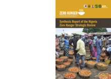 2017 - Strategic Review - Nigeria