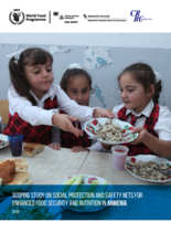 Scoping Study on Social Protection and Safety Nets for Enhanced Food Security and Nutrition in Armenia