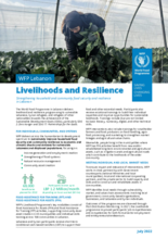 WFP Lebanon Livelihoods and Resilience Factsheet – July 2022