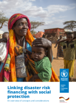 Linking disaster risk financing with social protection: an overview of concepts and considerations - June 2023
