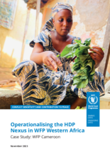 2023 - Operationalising the HDP Nexus in WFP Western Africa. Case Study: Cameroon