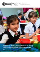 Scoping Study on Social Protection and Safety Nets for Enhanced Food Security and Nutrition in Tajikistan