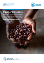 Hunger Hotspots: FAO-WFP early warnings on acute food insecurity (August to November 2021 outlook)