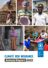2022 Climate Risk Insurance Annual Report 