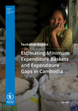 Minimum Expenditure Basket and Household Expenditure Gap in Cambodia (2020)