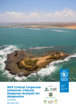 Climate Response Analysis for Somalia