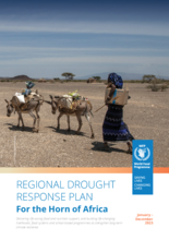 Regional Drought Response Plan for the Horn of Africa: 2023 