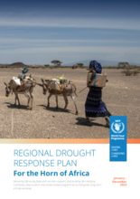 research on food security in kenya Regional Drought Response Plan for the Horn of Africa: 2023