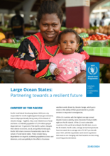 Large ocean states partnering towards a resilient future