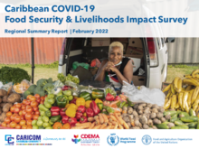 Caribbean COVID-19 Food Security and Livelihoods Impact Survey