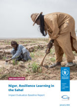 Niger, Resilience Learning in the Sahel: Impact evaluation
