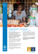 2019 - Malawi Factsheets