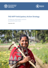FAO-WFP Anticipatory Action Strategy
