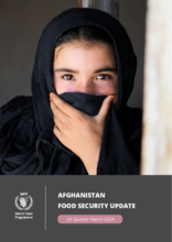Afghanistan mVAM Household Food Security Survey