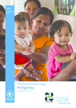 2018 - Fill the Nutrient Gap - Philippines Summary Report