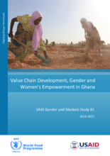 Gender and Markets Initiative for West and Central Africa -  Country Case Studies