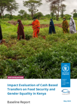 Kenya, Cash-Based Transfers on Food Security and Gender Equality: Impact Evaluation