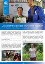 WFP Laos - Cash Distributions for Household Nutrition - 2022