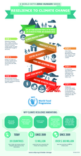 2020 - WFP and Climate Change Infographic