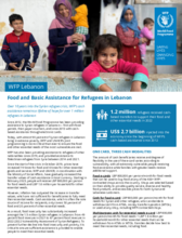 WFP Lebanon Programme Overview – January 2023