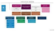 WFP Organigram - January 2026
