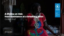 A lifeline at risk: food assistance at a breaking point - Global brief