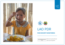 Lao PDR: Remote Household Food Security Surveys