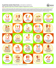 WFP Uganda's Agricultural Market Support Programme - 2019
