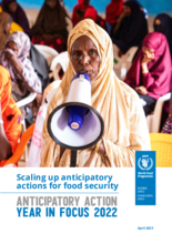 Scaling up anticipatory actions for food security: Anticipatory Action Year in Focus 2022