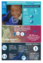 Annual Country Reports - Lesotho