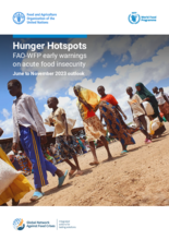 Hunger Hotspots: FAO-WFP early warnings on acute food insecurity | June-November 2023 Outlook