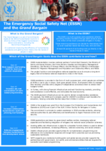 2018 - Türkiye - The Emergency Social Safety Net (ESSN) and the Grand Bargain