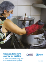 Clean and Modern Energy for Cooking - A Path to Food Security and Sustainable Development