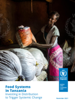 2021 Tanzania's Food Systems: Investing in Distribution for Systemic Change