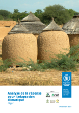 Climate Response Analysis for Niger