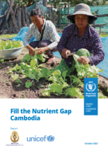 Fill the Nutrient Gap - Cambodia